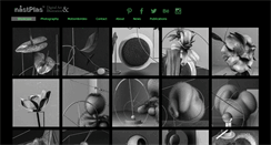 Desktop Screenshot of nastplas.com