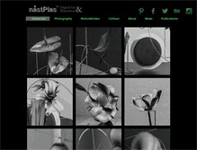 Tablet Screenshot of nastplas.com